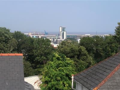 Picture 20